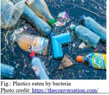 Plastic Eating Bacteria – Scientific Bangladesh